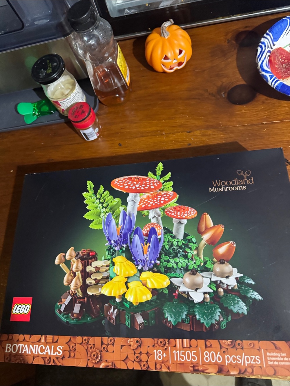 Lego Botanicals Woodland Mushrooms Box Art - Red, Purple, Yellow, Green